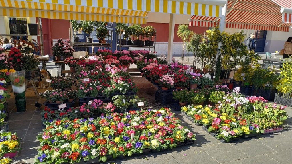 vacation in nice