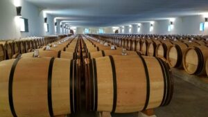 wine production