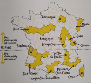 french white wines