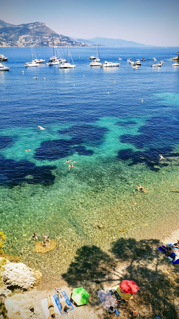 paloma beach