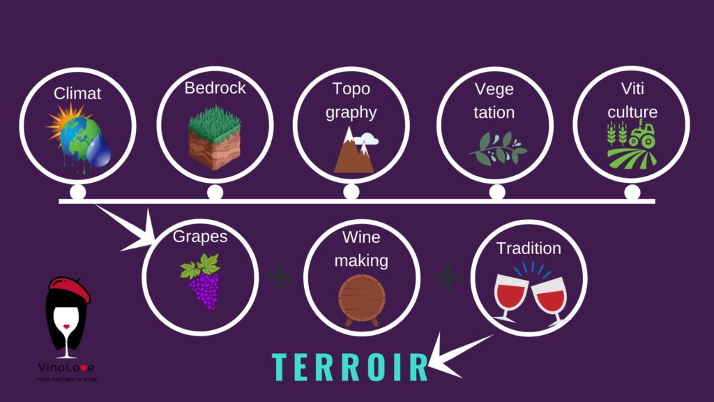 what is terroir