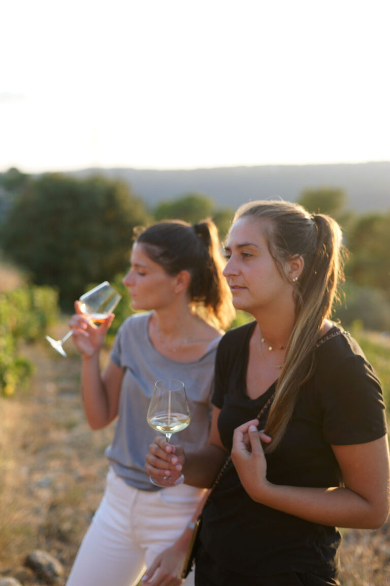 vineyard tour in nice