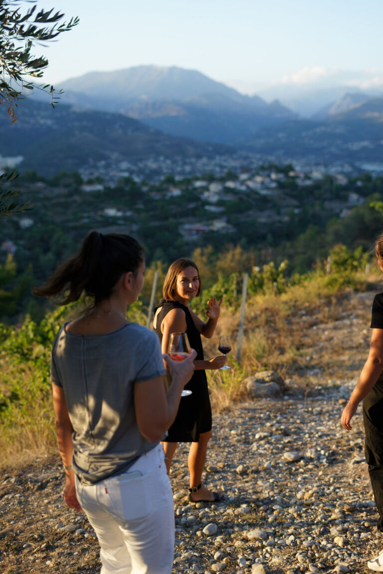 vineyard tour in Nice