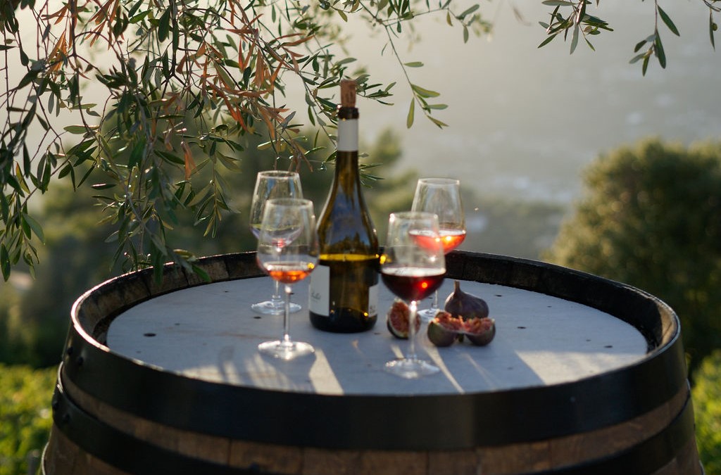 vineyard tour in Nice