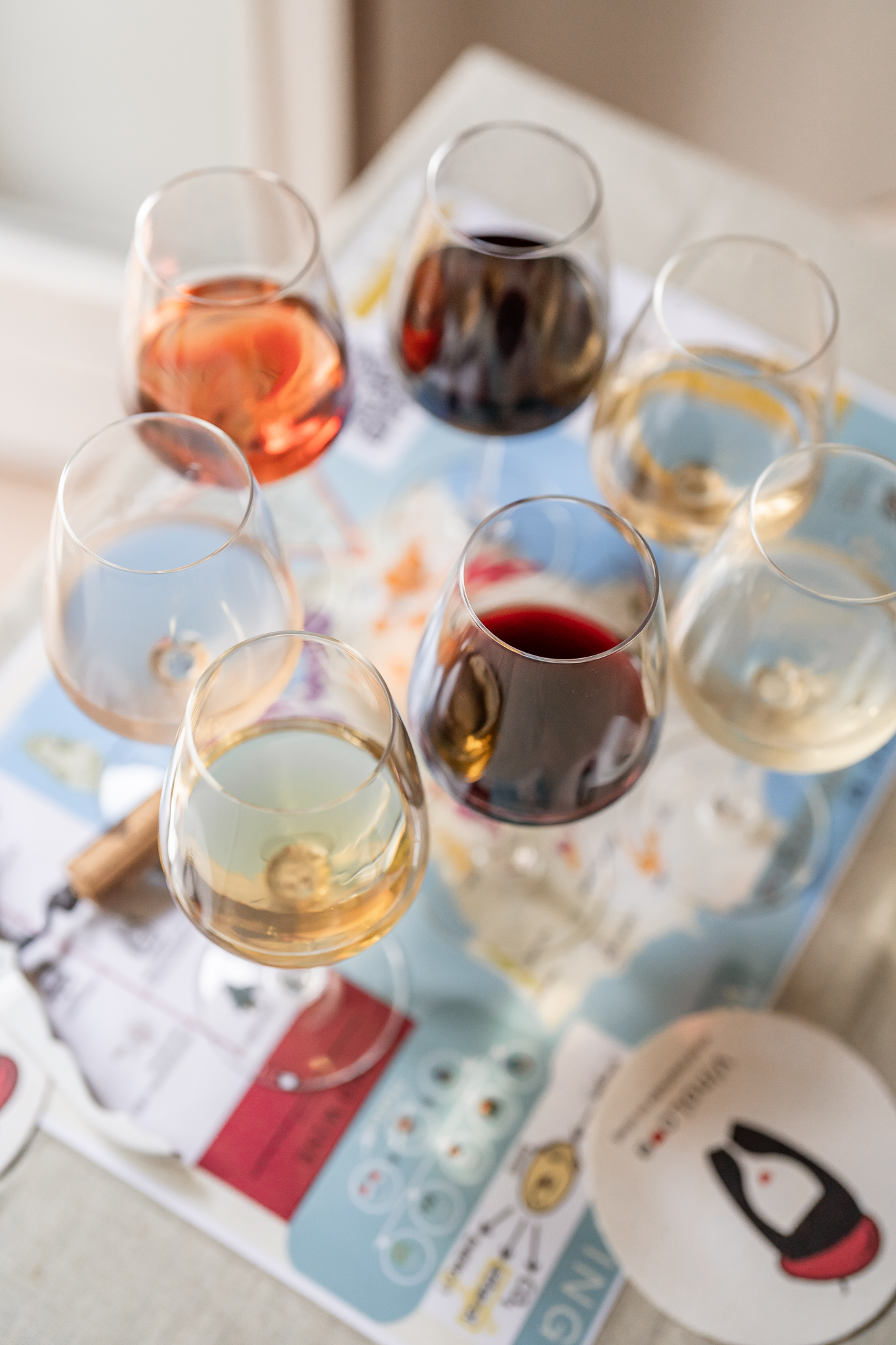 wine tasting class in Nice