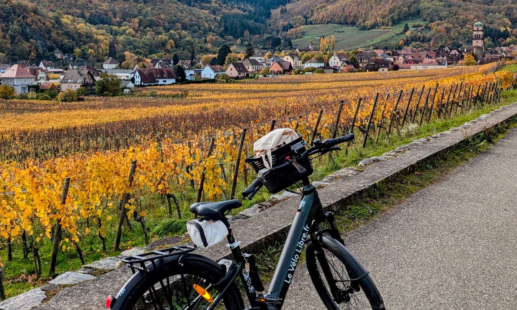 Alsace wine route trip