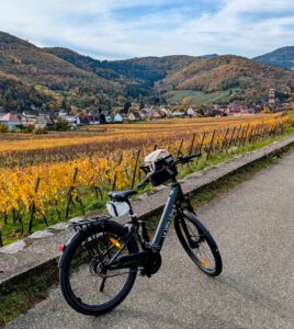 Alsace wine route trip