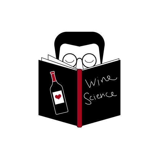 informative wine tasting in Nice