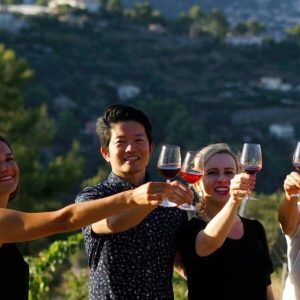 vineyard tour in Nice